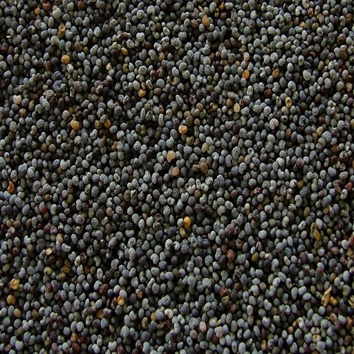 Organic Poppy Seed